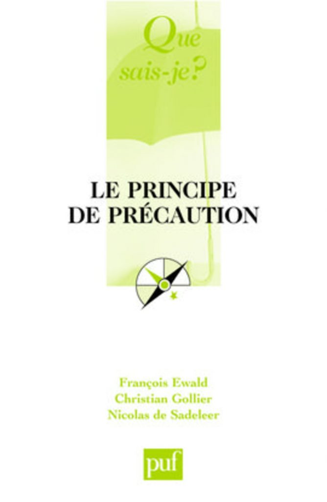 Book Cover: Le principe de précaution